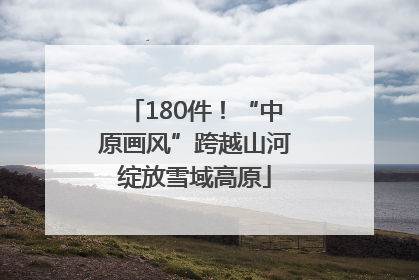 180件！“中原画风”跨越山河绽放雪域高原