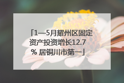 1—5月耀州区固定资产投资增长12.7% 居铜川市第一