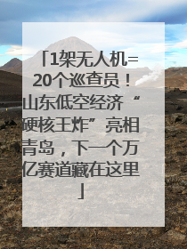 1架无人机=20个巡查员！山东低空经济“硬核王炸”亮相青岛，下一个万亿赛道藏在这里