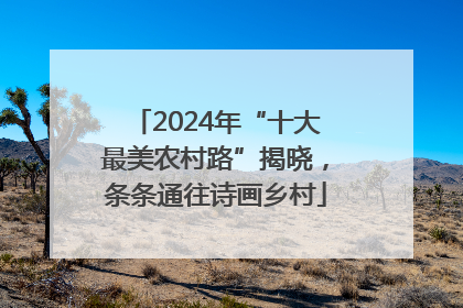 2024年“十大最美农村路”揭晓，条条通往诗画乡村