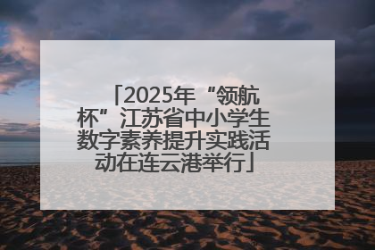 2025年“领航杯”江苏省中小学生数字素养提升实践活动在连云港举行