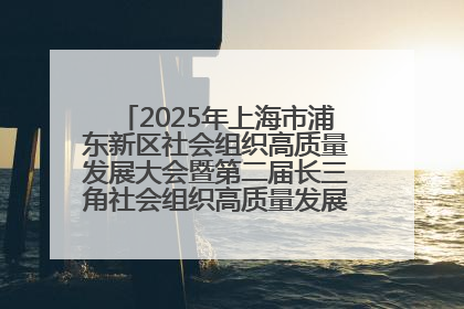 2025年上海市浦东新区社会组织高质量发展大会暨第二届长三角社会组织高质量发展峰会成功举办
