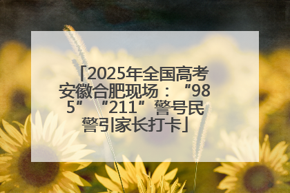 2025年全国高考安徽合肥现场：“985”“211”警号民警引家长打卡