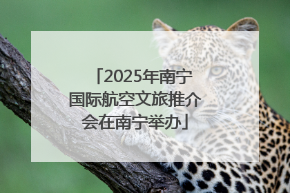 2025年南宁国际航空文旅推介会在南宁举办