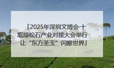 2025年深圳文博会·十堰绿松石产业对接大会举行 让“东方圣玉”闪耀世界