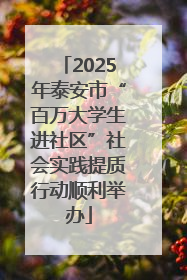 2025年泰安市“百万大学生进社区”社会实践提质行动顺利举办