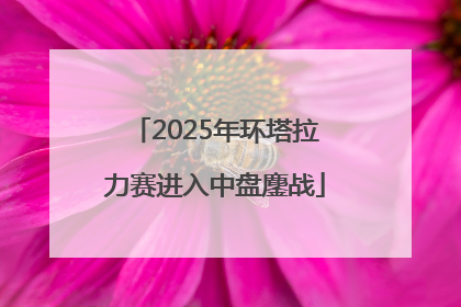 2025年环塔拉力赛进入中盘鏖战