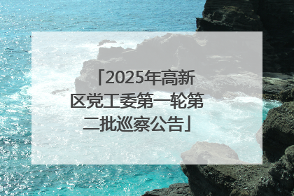 2025年高新区党工委第一轮第二批巡察公告