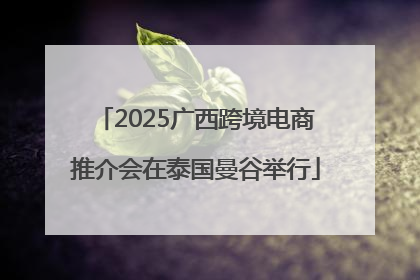 2025广西跨境电商推介会在泰国曼谷举行