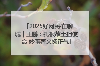 2025好网民·在聊城｜王鹏：扎根故土担使命 妙笔著文扬正气