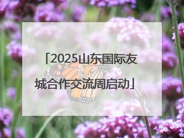 2025山东国际友城合作交流周启动
