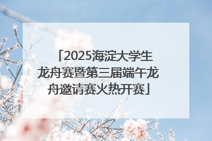 2025海淀大学生龙舟赛暨第三届端午龙舟邀请赛火热开赛