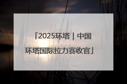 2025环塔｜中国环塔国际拉力赛收官