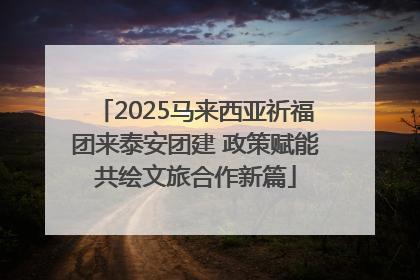 2025马来西亚祈福团来泰安团建 政策赋能共绘文旅合作新篇