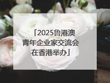 2025鲁港澳青年企业家交流会在香港举办