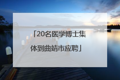 20名医学博士集体到曲靖市应聘