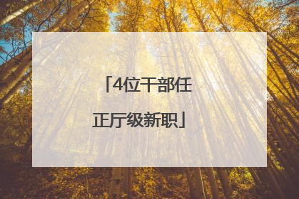 4位干部任正厅级新职