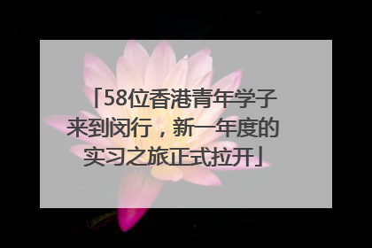 58位香港青年学子来到闵行，新一年度的实习之旅正式拉开