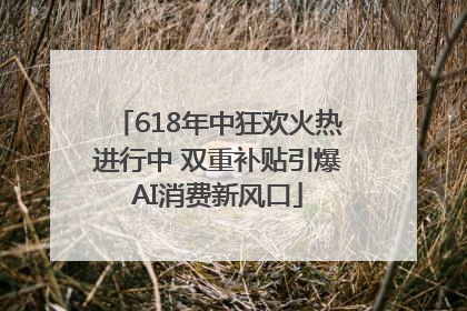 618年中狂欢火热进行中 双重补贴引爆AI消费新风口