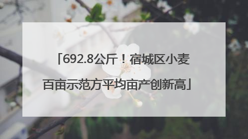 692.8公斤！宿城区小麦百亩示范方平均亩产创新高