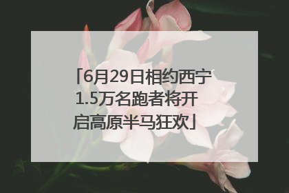 6月29日相约西宁 1.5万名跑者将开启高原半马狂欢