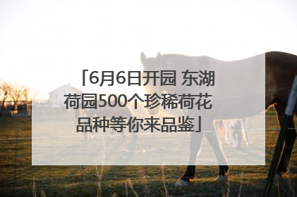 6月6日开园 东湖荷园500个珍稀荷花品种等你来品鉴