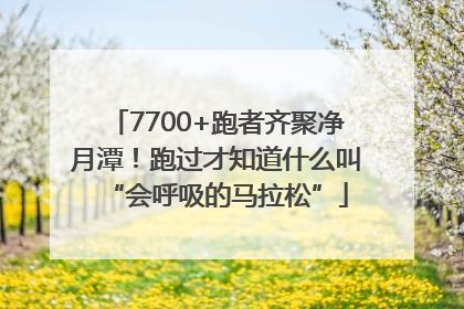 7700+跑者齐聚净月潭！跑过才知道什么叫“会呼吸的马拉松”
