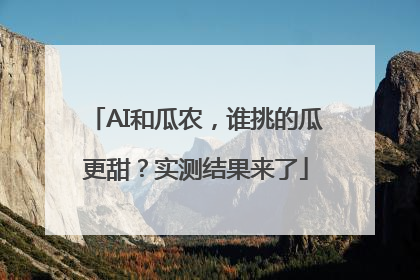 AI和瓜农，谁挑的瓜更甜？实测结果来了