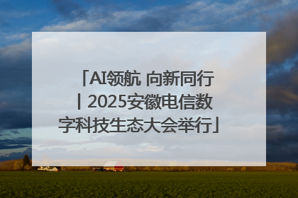AI领航 向新同行丨2025安徽电信数字科技生态大会举行