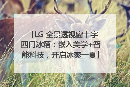 LG 全景透视窗十字四门冰箱：嵌入美学+智能科技，开启冰爽一夏