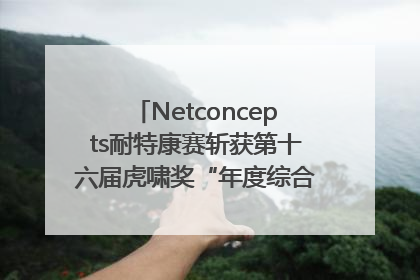 Netconcepts耐特康赛斩获第十六届虎啸奖“年度综合服务商”大奖