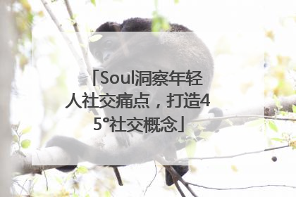 Soul洞察年轻人社交痛点，打造45°社交概念