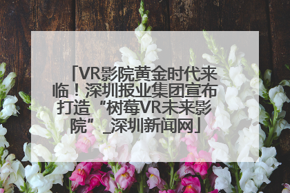 VR影院黄金时代来临！深圳报业集团宣布打造“树莓VR未来影院”_深圳新闻网